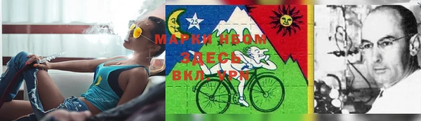 MDMA Богданович
