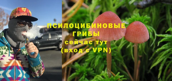 соль курить ск Богородицк